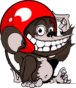 monkey